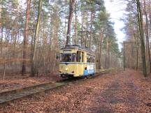 zwischen S-Bf Rahnsdorf und Woltersdorf verläuft die Strecke durch den Wald