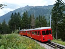 Tw 41 (Bj 1954) mit Bw 52 oberhalb von Chamonix Mont Blanc