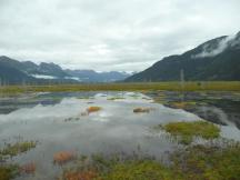 Flussdelta des Twenty Mile River